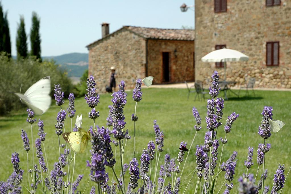 Tenuta Casabianca Murlo Chambre photo